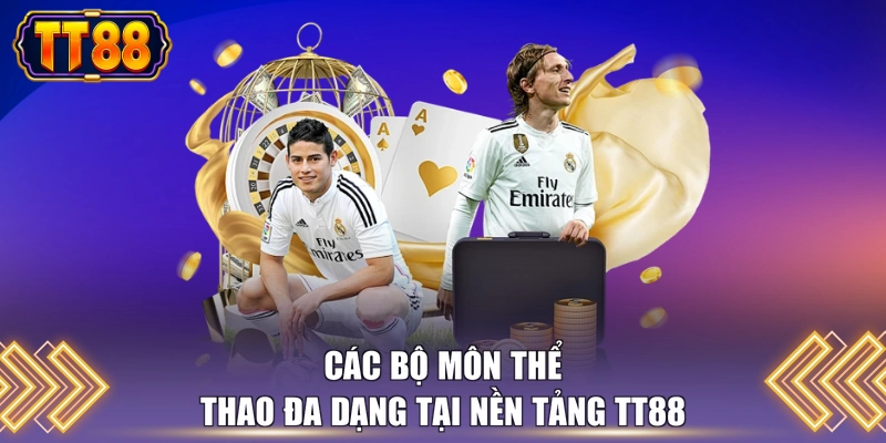 Các bộ môn thể thao đa dạng tại nền tảng TT88