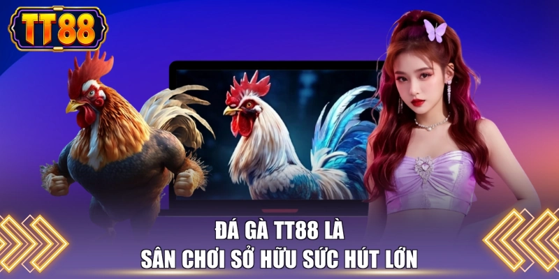 Đá gà TT88 là sân chơi sở hữu sức hút lớn