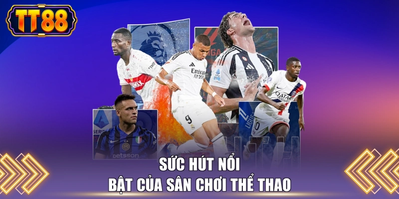 Sức hút nổi bật của sân chơi thể thao